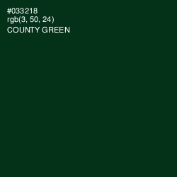 #033218 - County Green Color Image
